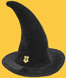 Hogwarts Student's Hat